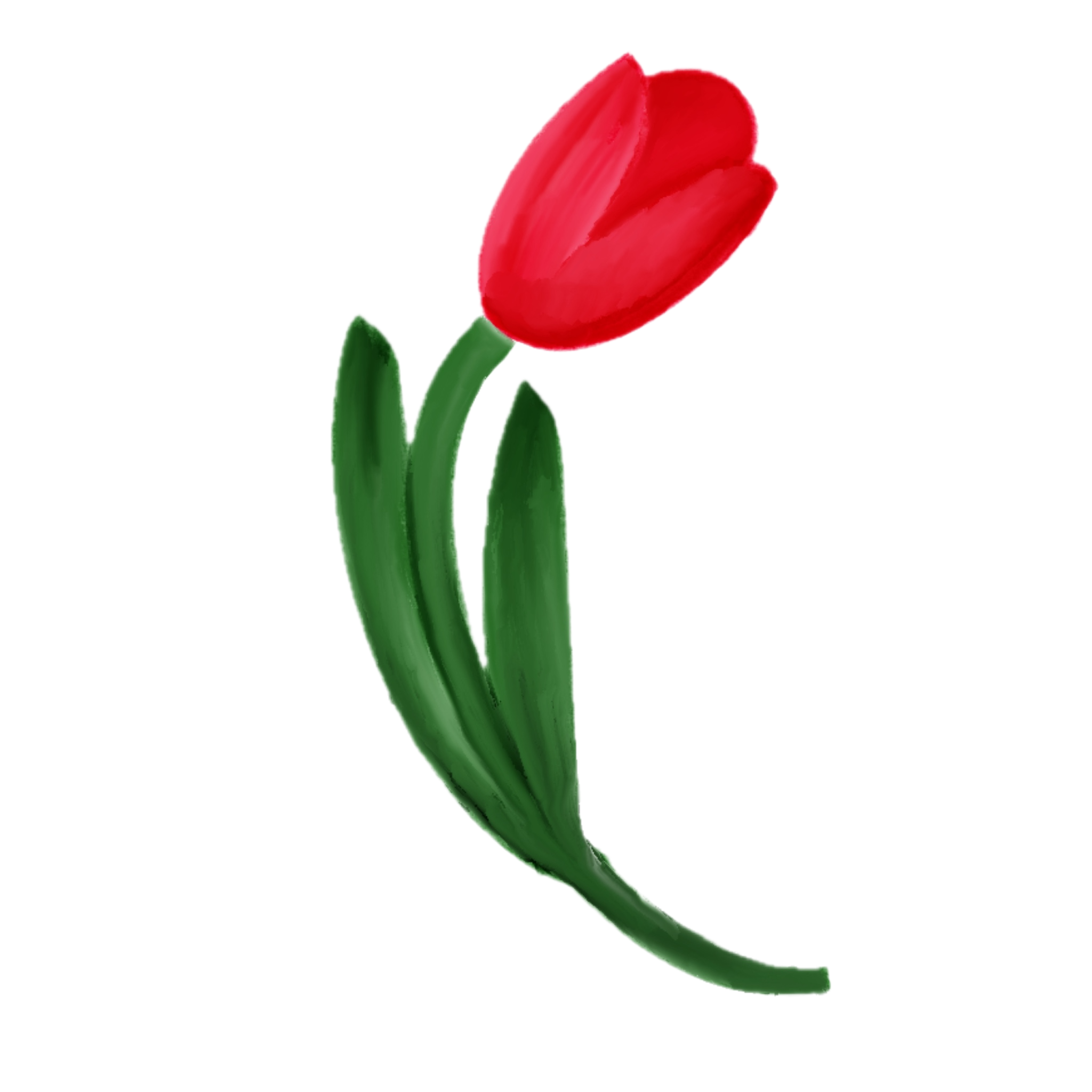 Arrangements by Hope